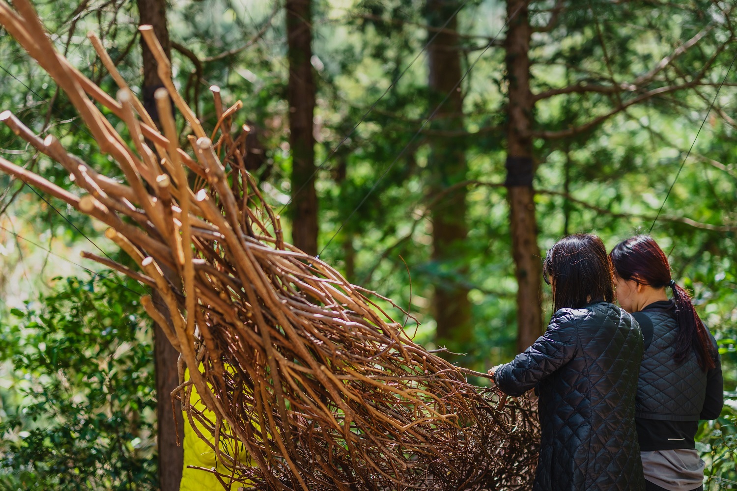 LAND ART PARK「ACAO FOREST」 - GRABLISS web plus