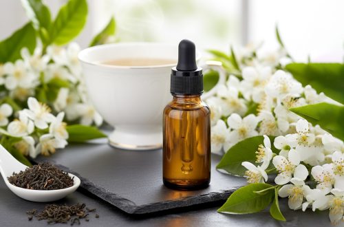 新美容液「ザ・セラム360」 - GRABLISS web plus